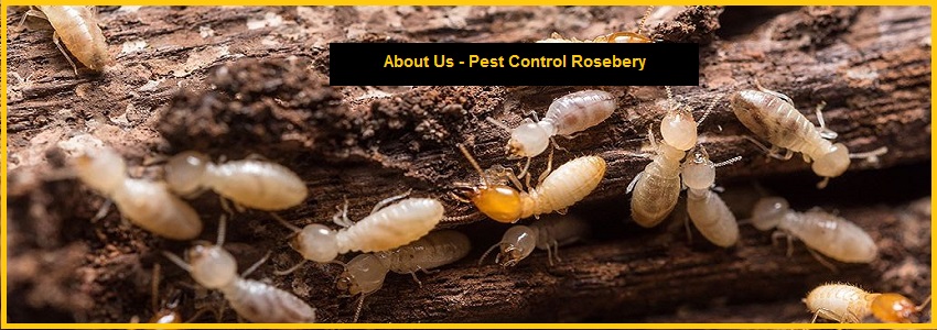 pest control rosebery